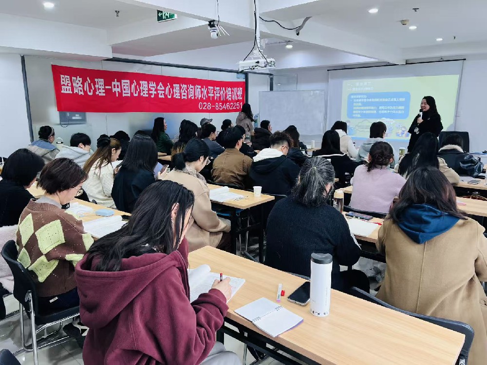 四川盟略心理学习中心—和情绪和解，在互动中成长